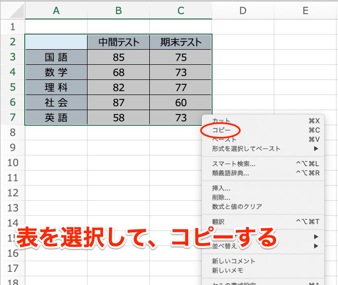 Microsoft Excel 表 コピー