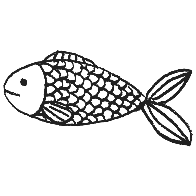 魚　イラスト